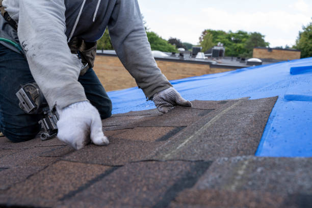 Gutter Installation and Roofing in Clendenin, WV