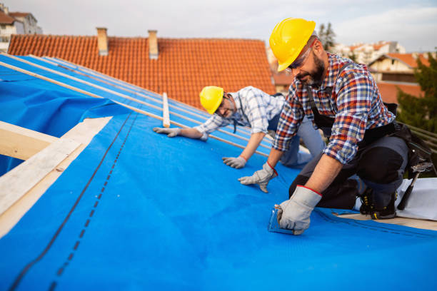Best New Roof Installation  in Clendenin, WV